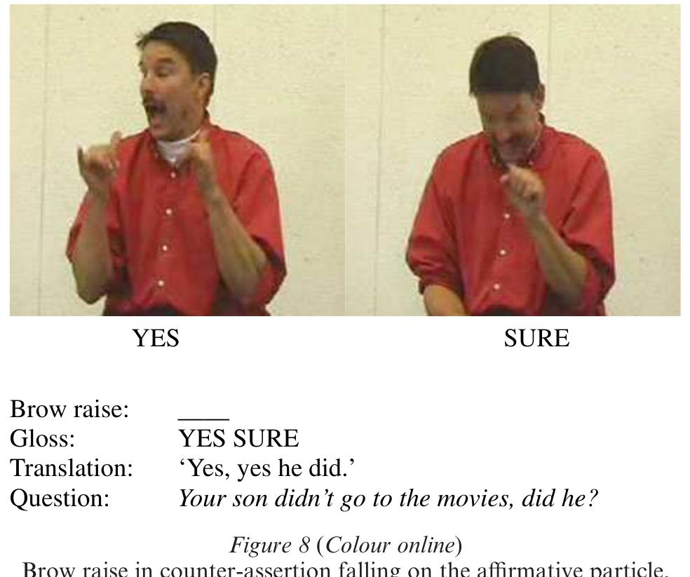 Focus Baby Sign Language (PDF) The phonology of focus in Sign Language of the Netherlands
