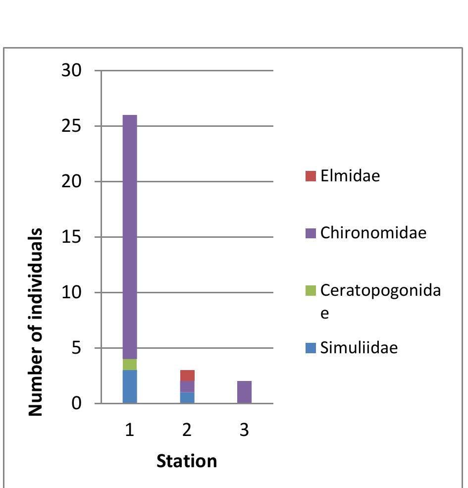 (PDF) Benthic Macroinvertebrates Composition and Distribution at Sungai ...