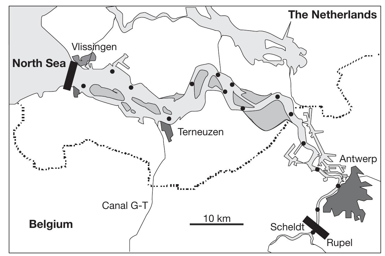 The scheldt estuary. (e) fixed sampling stations;