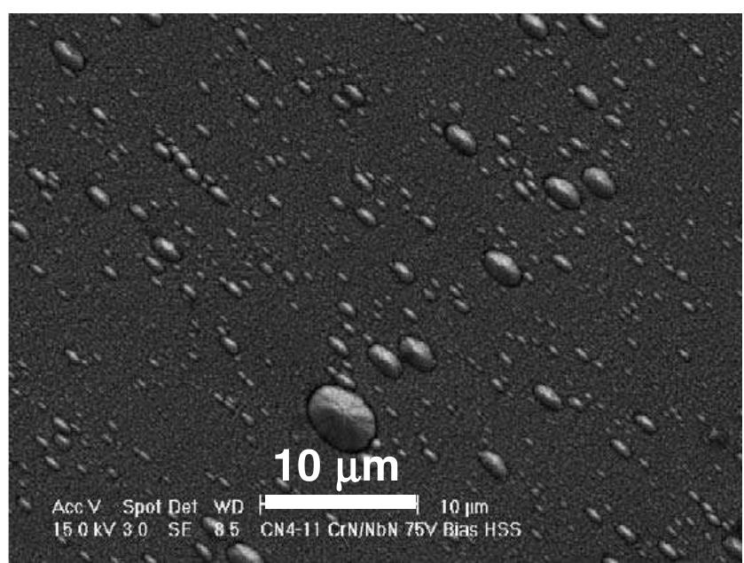 Environmental scanning electron microscope (esem) images of