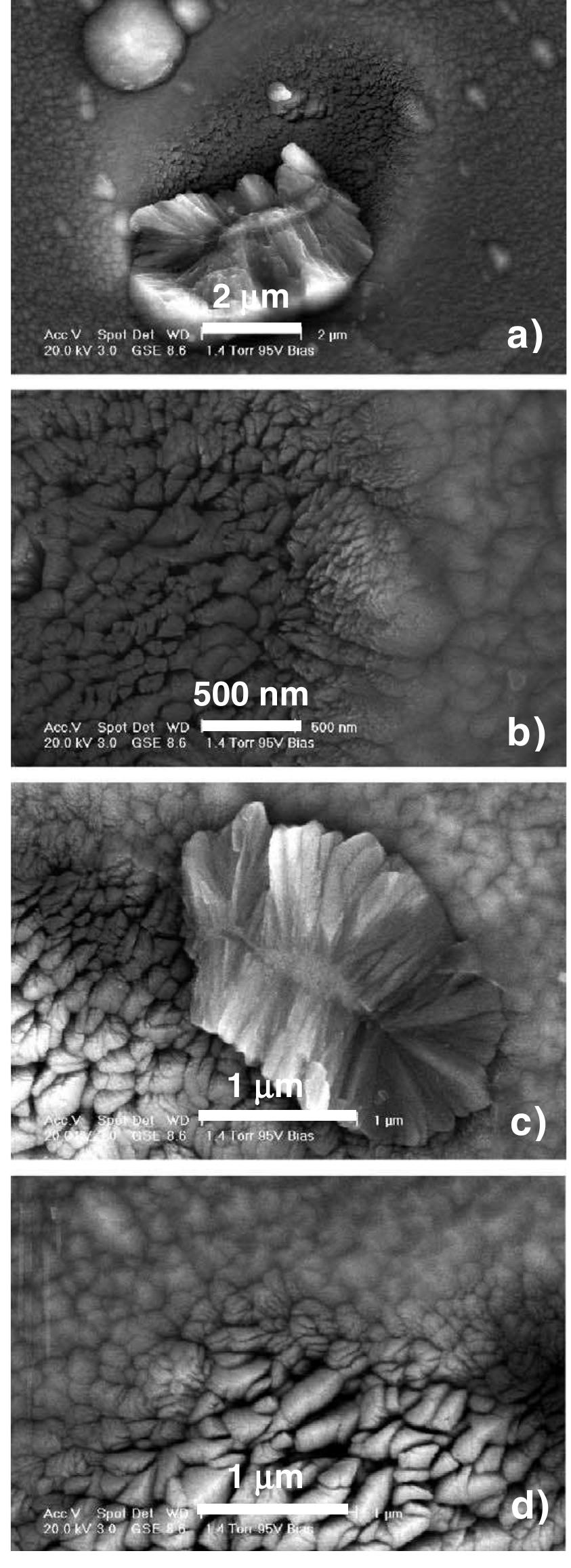Environmental scanning electron microscope (esem) images of