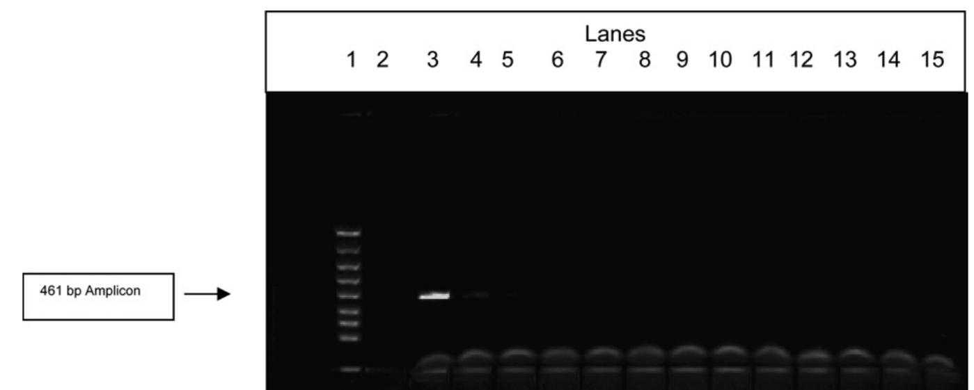 (PDF) Validation of a PCR method for the detection of mycoplasmas ...