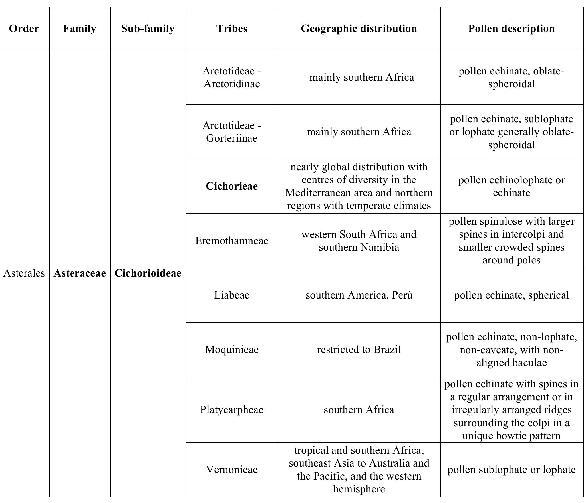 Tab. 1 — Tribes belonging to the sub-family of Cichorioideae and related main pollen features (www.compositae.org | virtual key to the Compositae (VKC) project).  Scorzonerinae (Geropogon, Podospermum, Scorzonera, Tragopogon) [8]. 