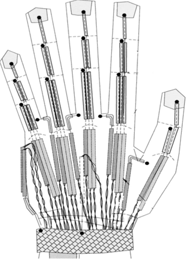 Modeling the hand for animated signing [187]. in the field
