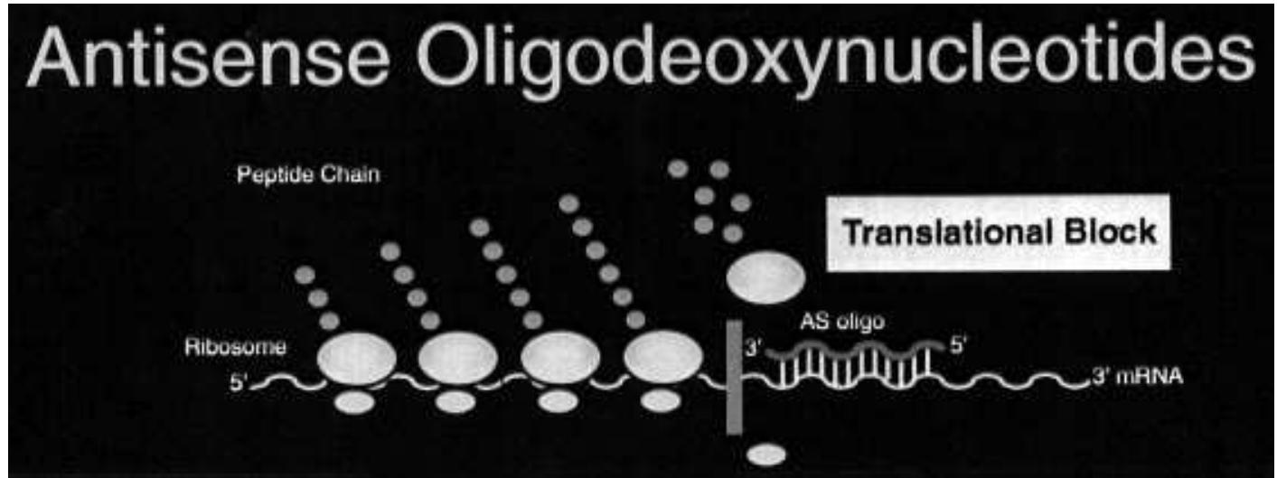 Figure 59 - from An Introduction to Molecular Medicine and