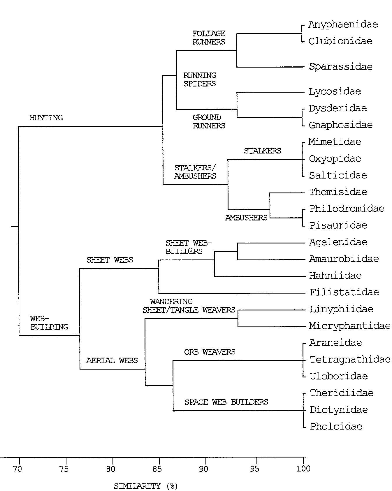 (PDF) Guild structure of spiders in major crops