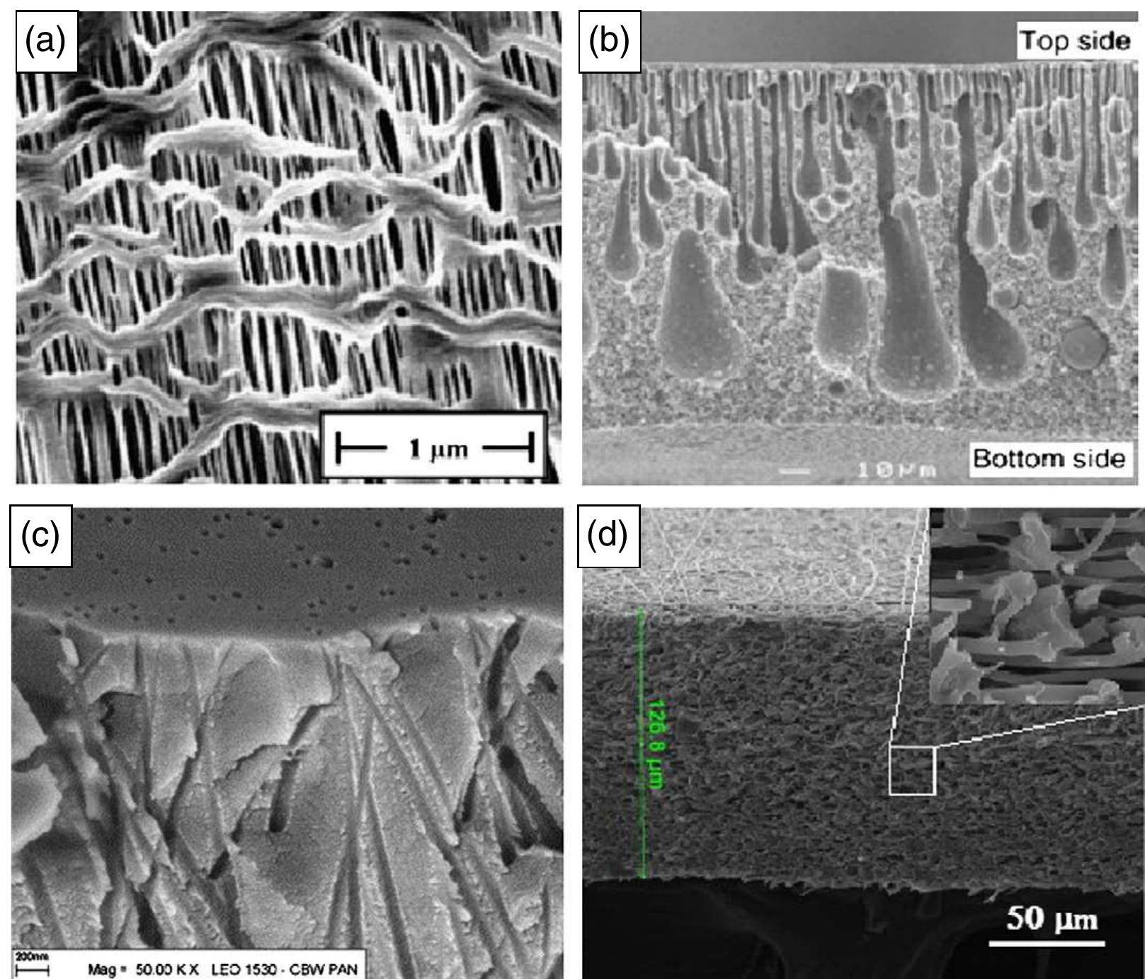 (PDF) A review on membrane fabrication: Structure, properties and ...