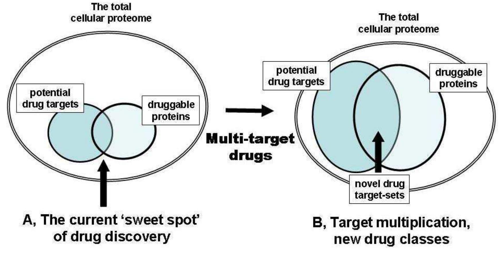 (PDF) How to design multi-target drugs