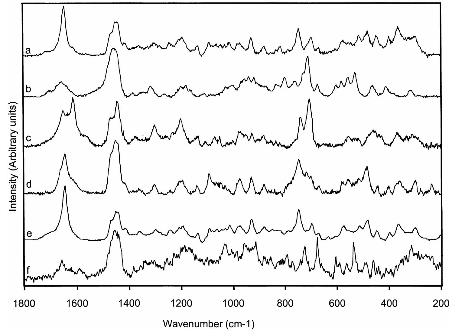 (PDF) Analysis with micro-Raman spectroscopy of natural organic binding ...
