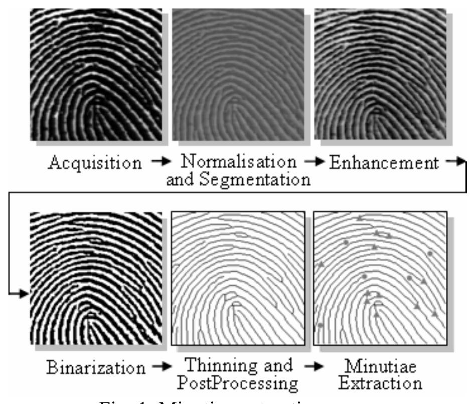 (PDF) Fingerprint Image Enhancement Using Directional Morphological Filter