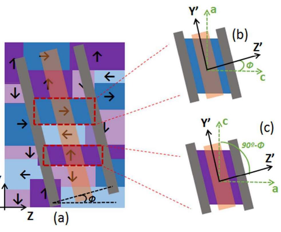 (a) top view schematic of the optical waveguide with