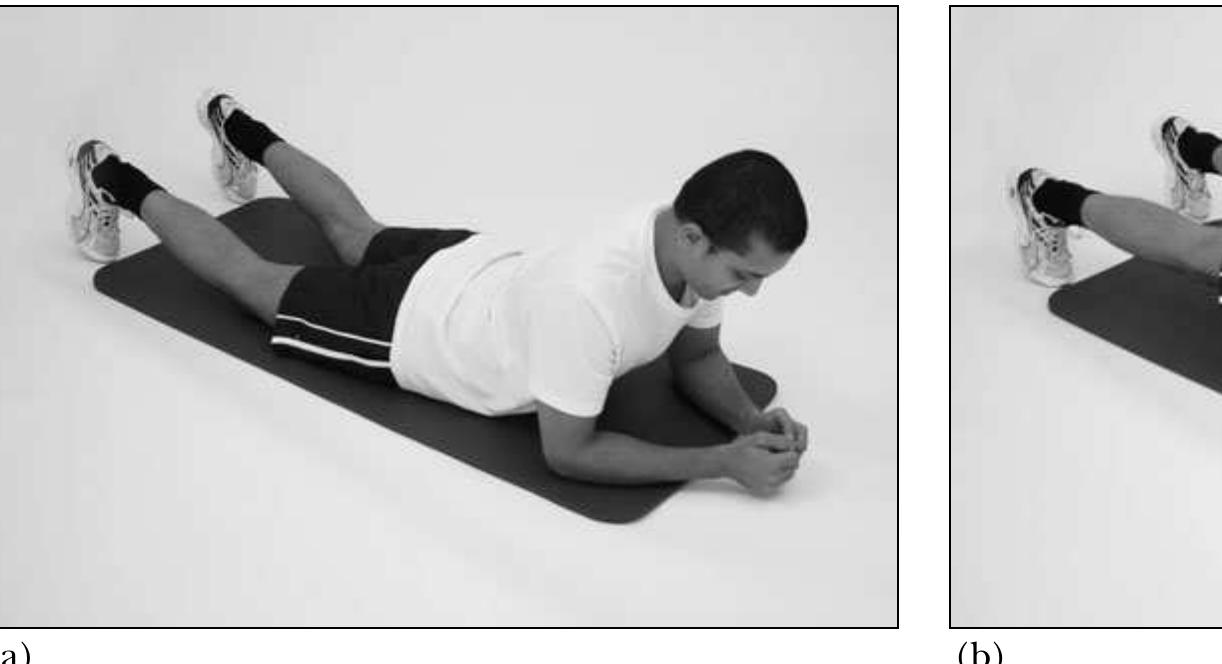 Figure 130 - from Corrective Exercise