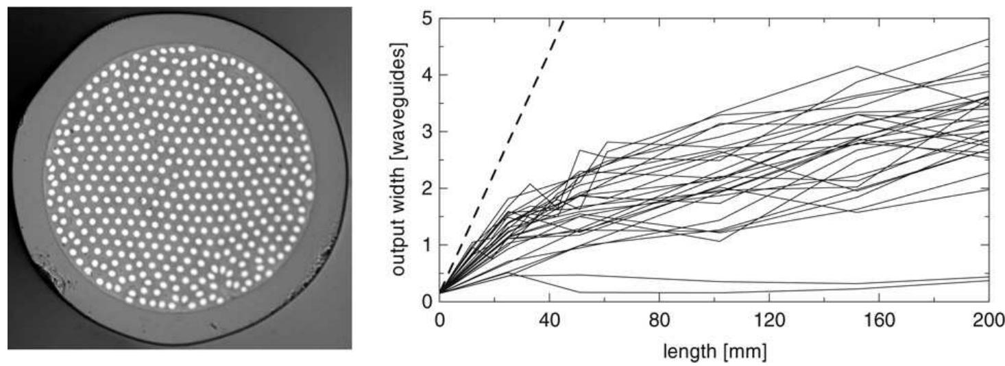 27. left: microscope image of the disordered fiber array.
