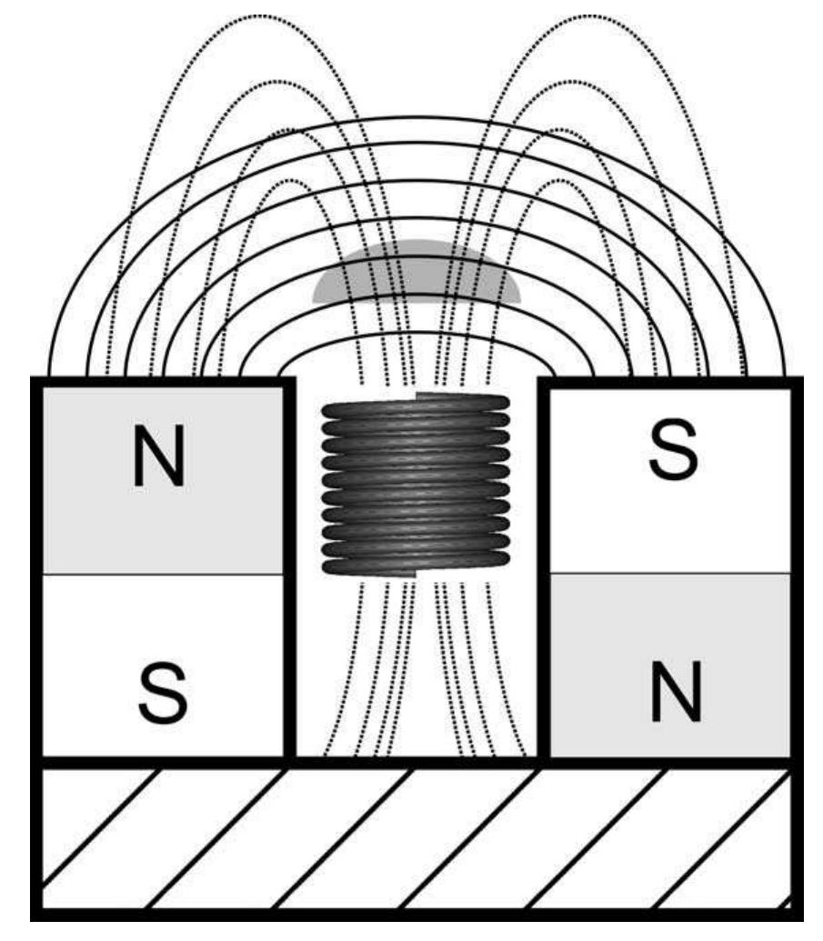 Magnets Vertical Schematic drawing of the nur mouse. bar magnets in opposing