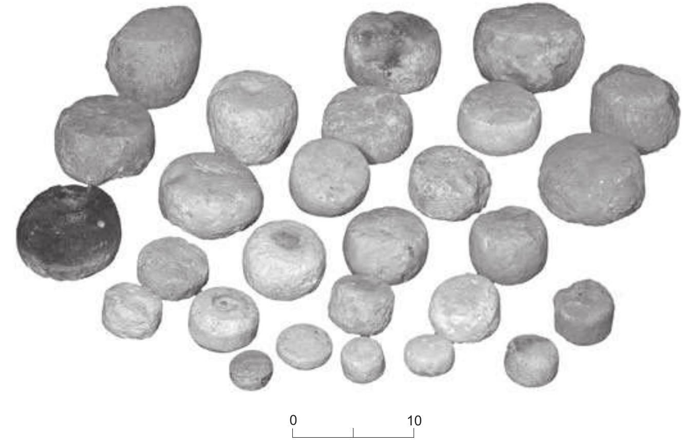 Fig. 10.1. Stone scale weights. 