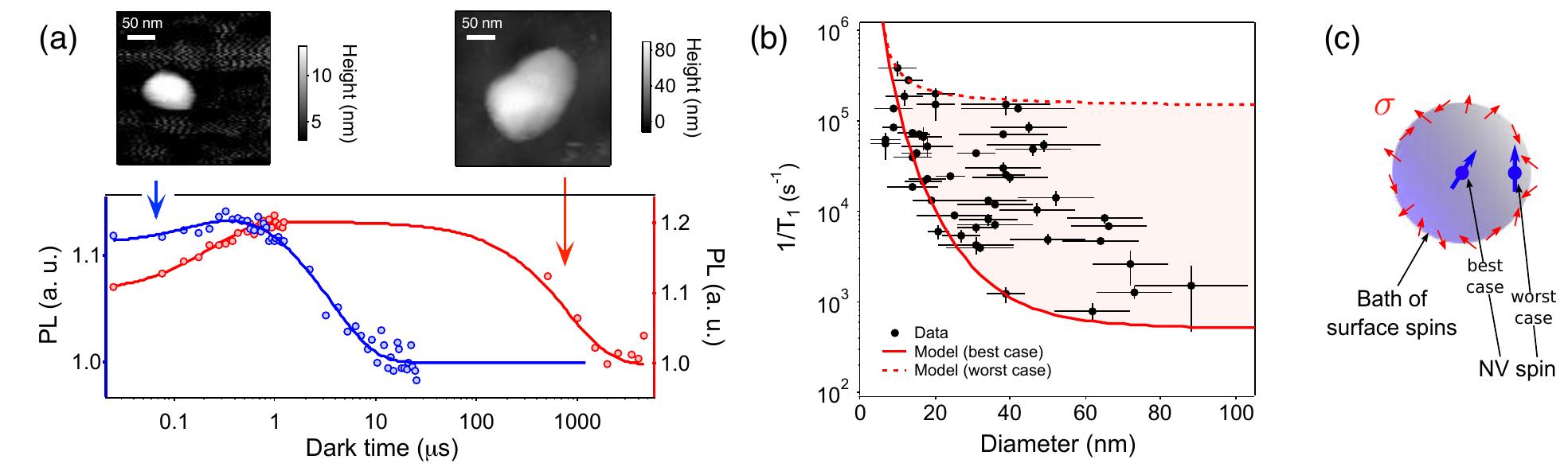 (PDF) Spin relaxometry of single nitrogen-vacancy defects in diamond ...