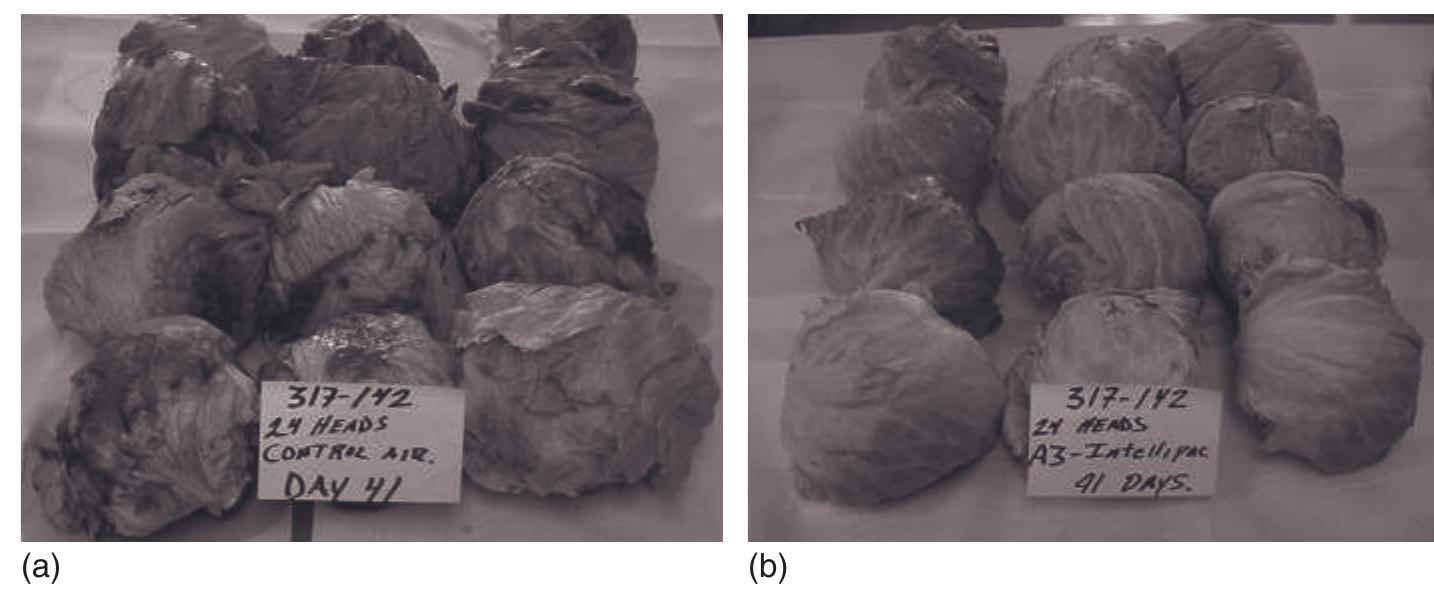 OUAT　-010- SUPER MELTON NAVY  COAT PDF) Internalization of Pathogens in Produce