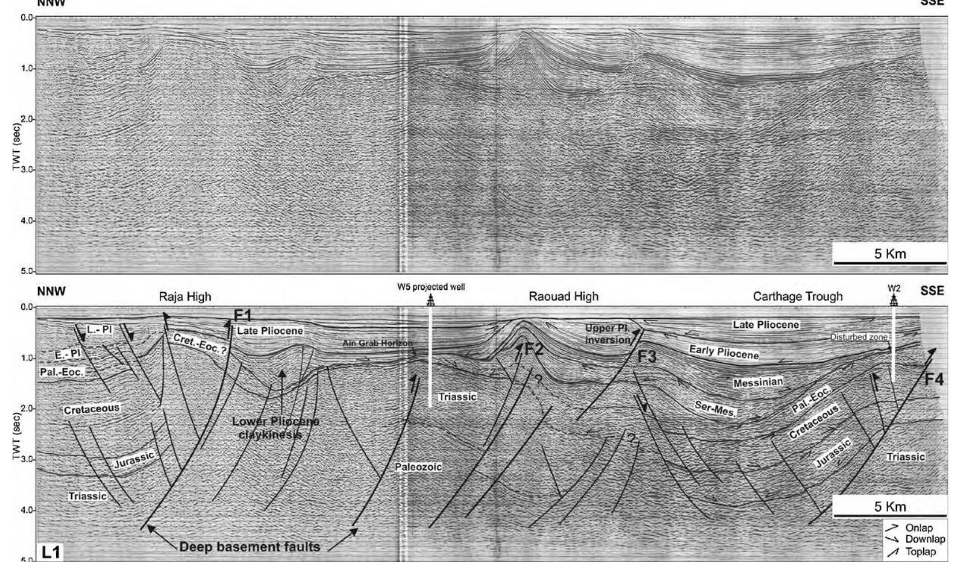 (PDF) Tectono-sedimentary events and geodynamic evolution of the ...