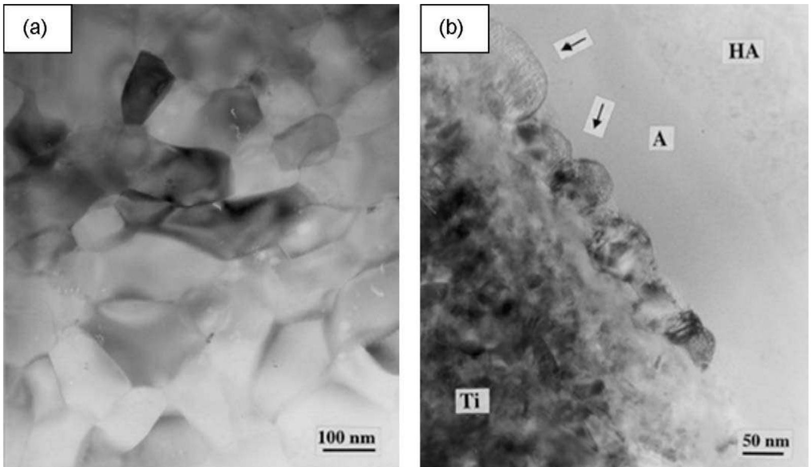 Tem micrographs revealing the nucleation of crystalline ha