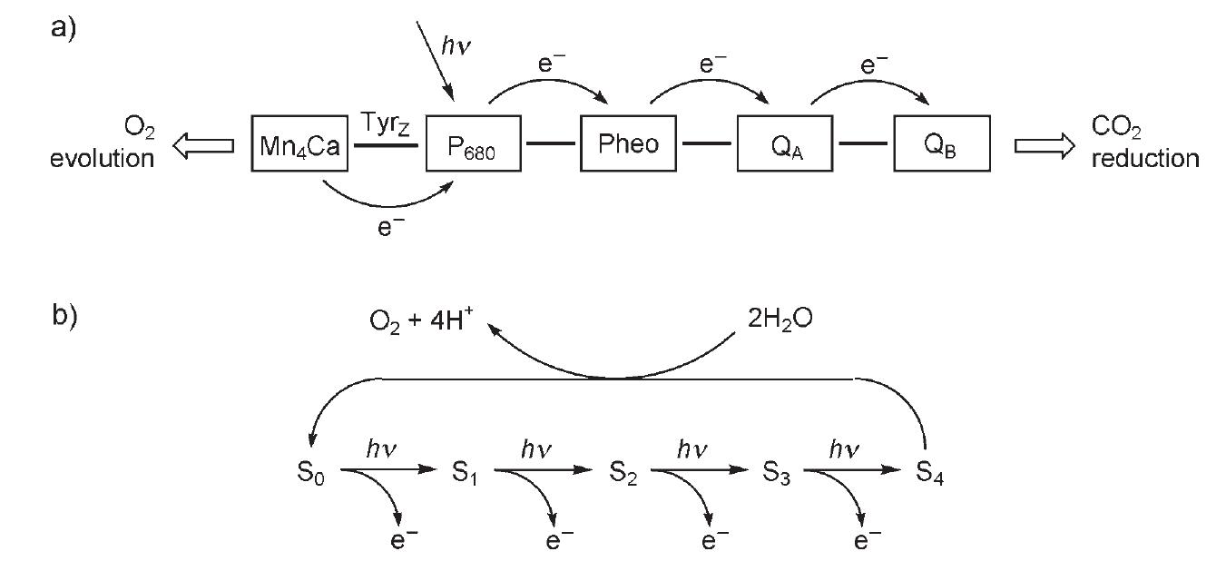 A) schematic representation of the charge-separation process