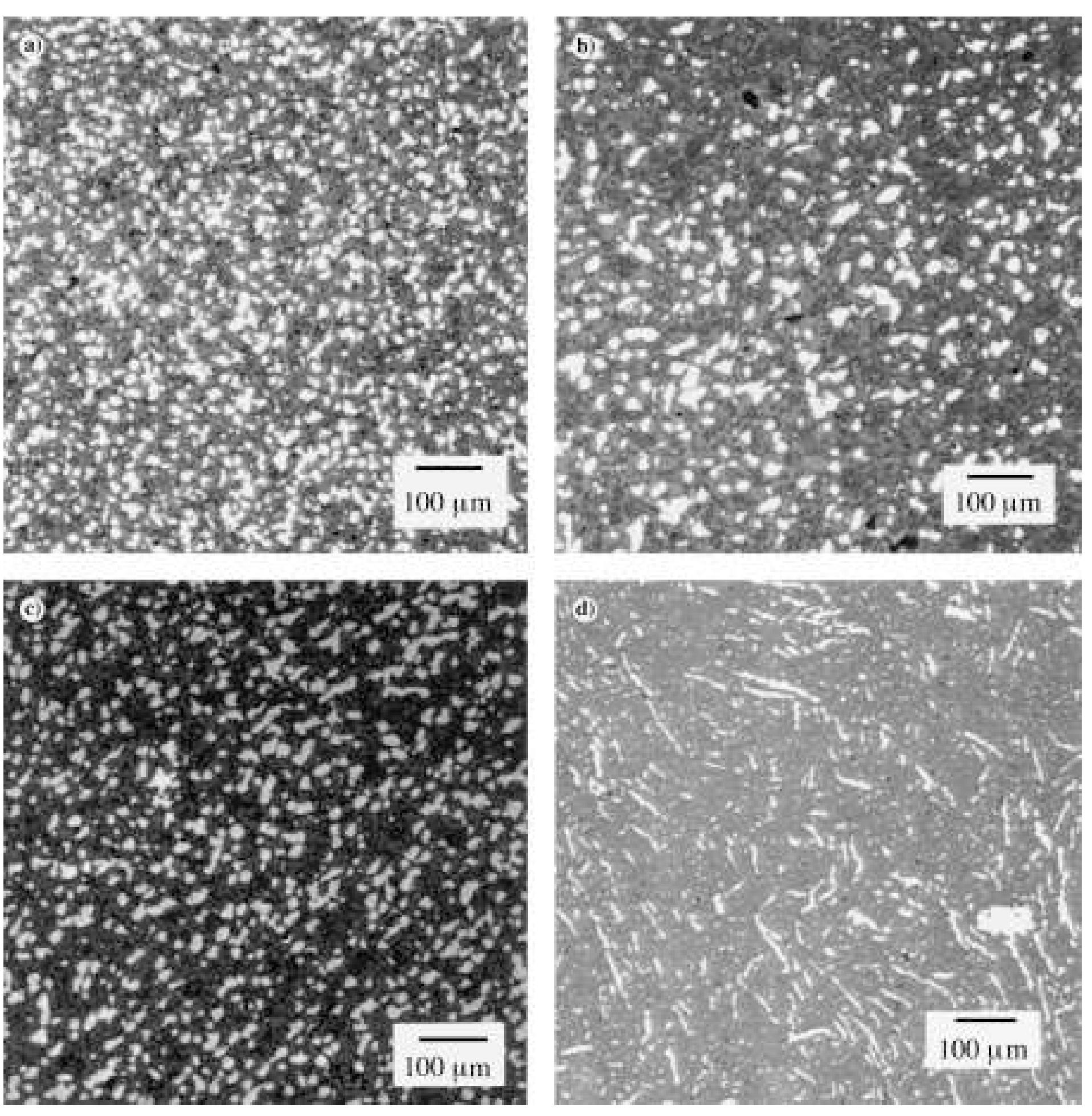 Fig. 2. The different materials investigated in this study: (a) no excess NiO; (b) 17 wt% excess NiO; (c) 23 wt% excess NiO; and (d) reaction sintered material with 17 wt% excess NiO. 