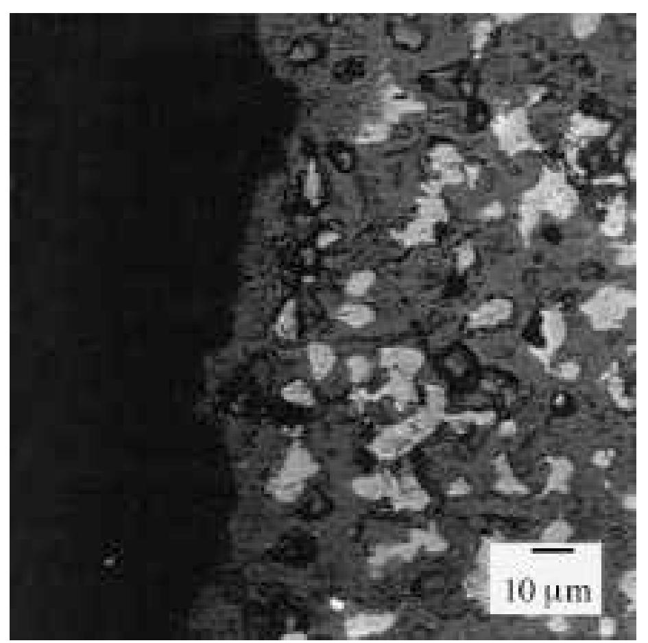 Fig. 7. SEM micrograph of a cross-section of an anode with 0 wt% excess NiO in the ceramic phase showing the anode surface layer. 