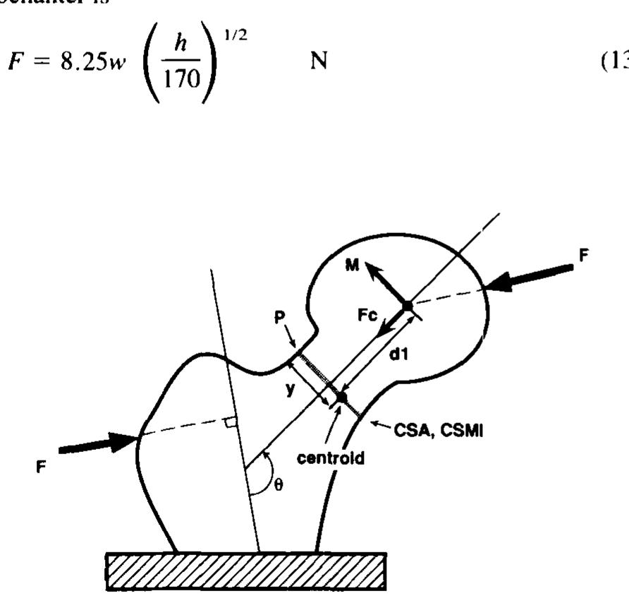 Fall Force Animation Fall force (f) generates a compressive force (fc) and a
