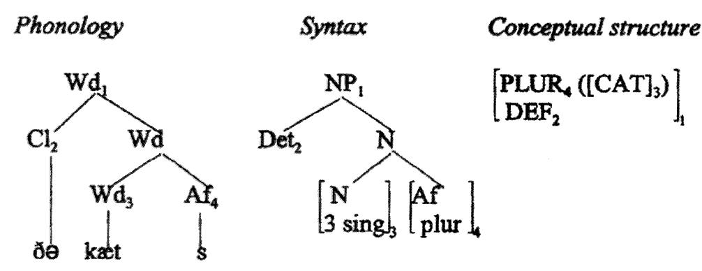 The structure of the cats in the parallel architecture. the