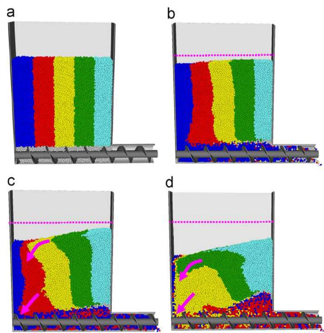 Drawdown Hopper (PDF) Effect of screw design on hopper drawdown of spherical particles ...