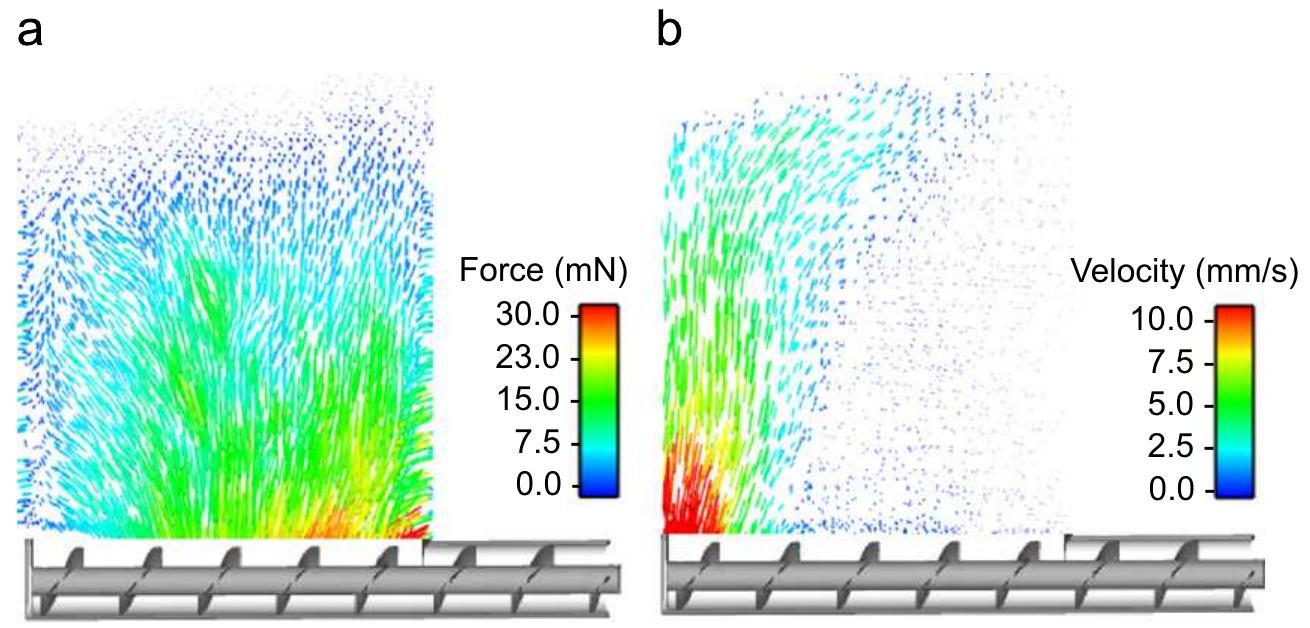 Drawdown Hopper (PDF) Effect of screw design on hopper drawdown of spherical particles ...