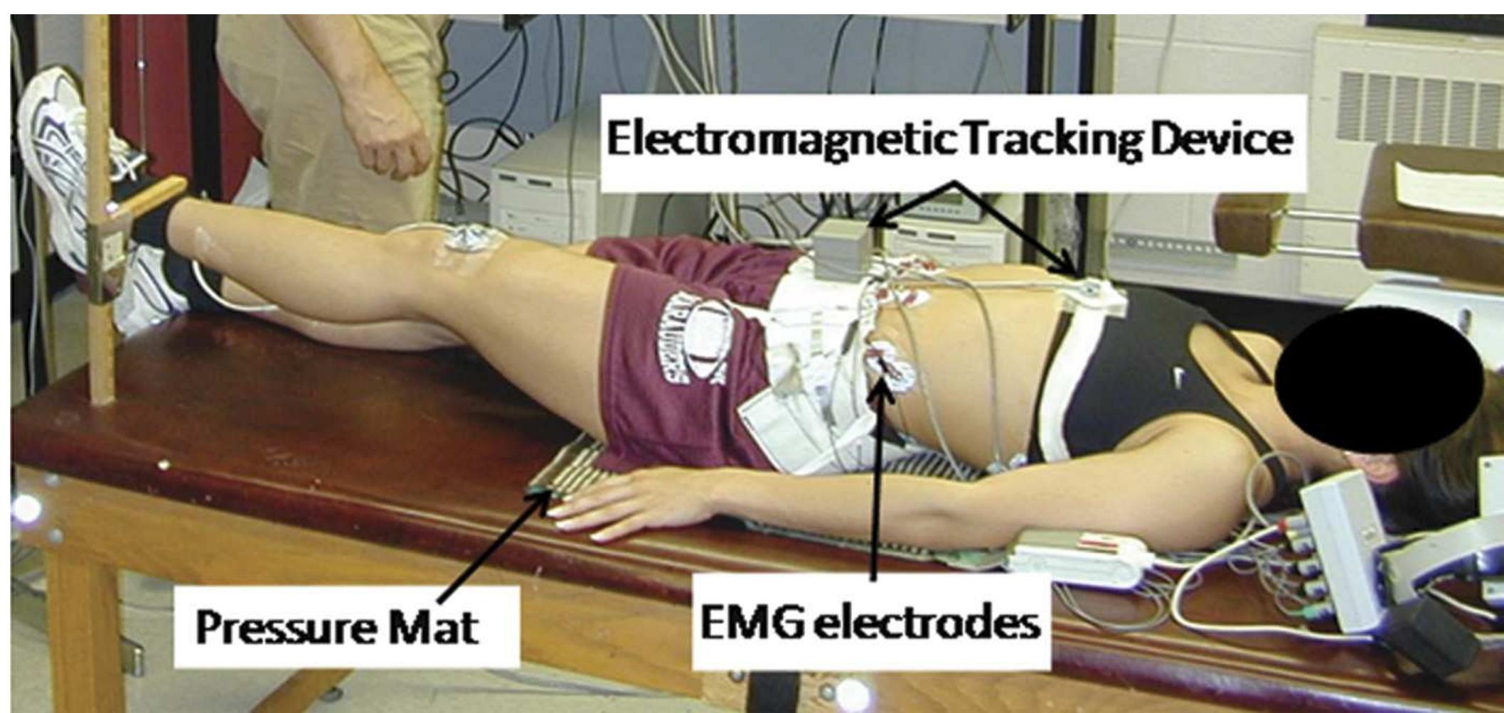 (PDF) The active straight leg raise test and lumbar spine stability