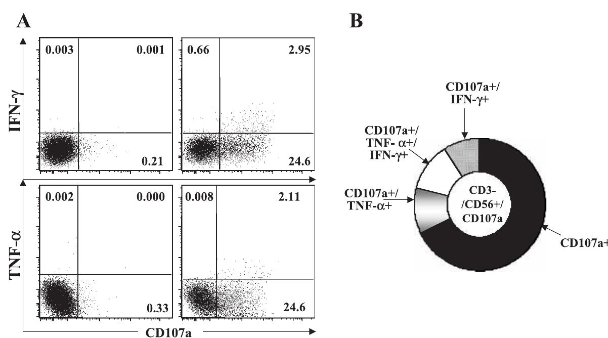(PDF) CD107a as a functional marker for the identification of natural ...