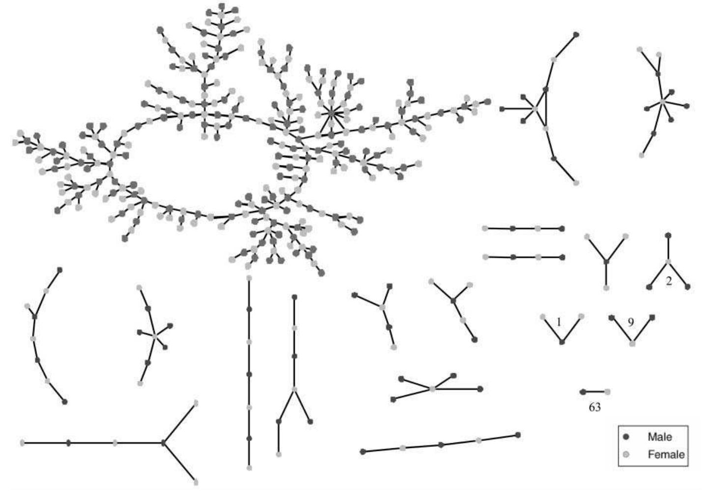 Relationship Chain Figure 2 - from Chains of Affection: The Structure of