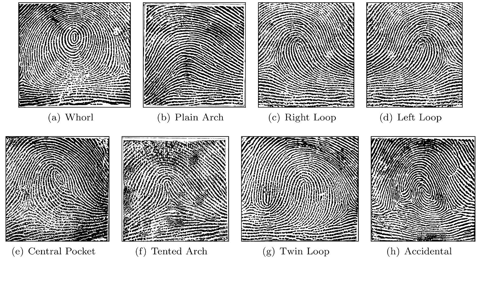 (PDF) Fingerprint classification: a review