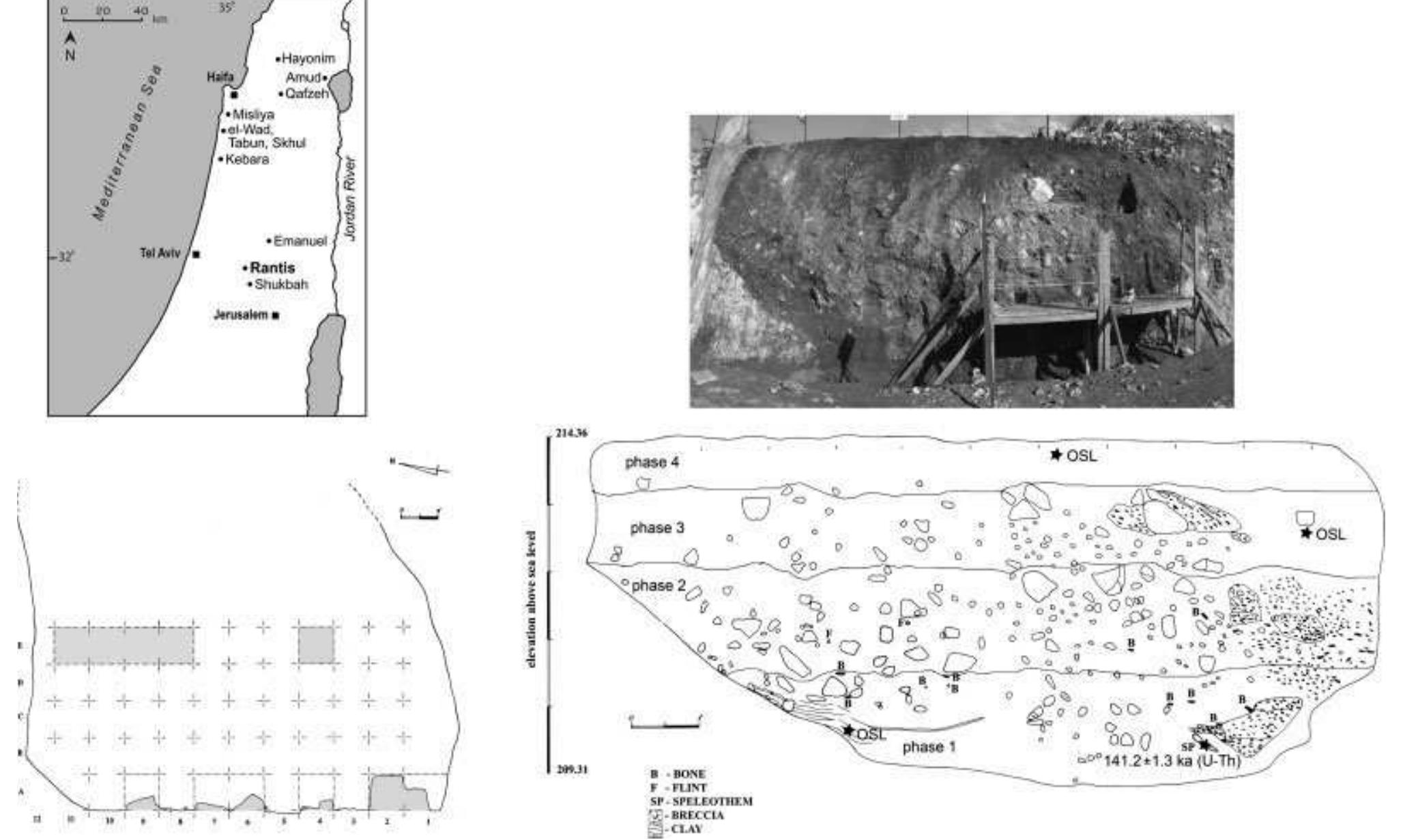 Figure 1 - from Mammal remains at Rantis Cave, Israel, and