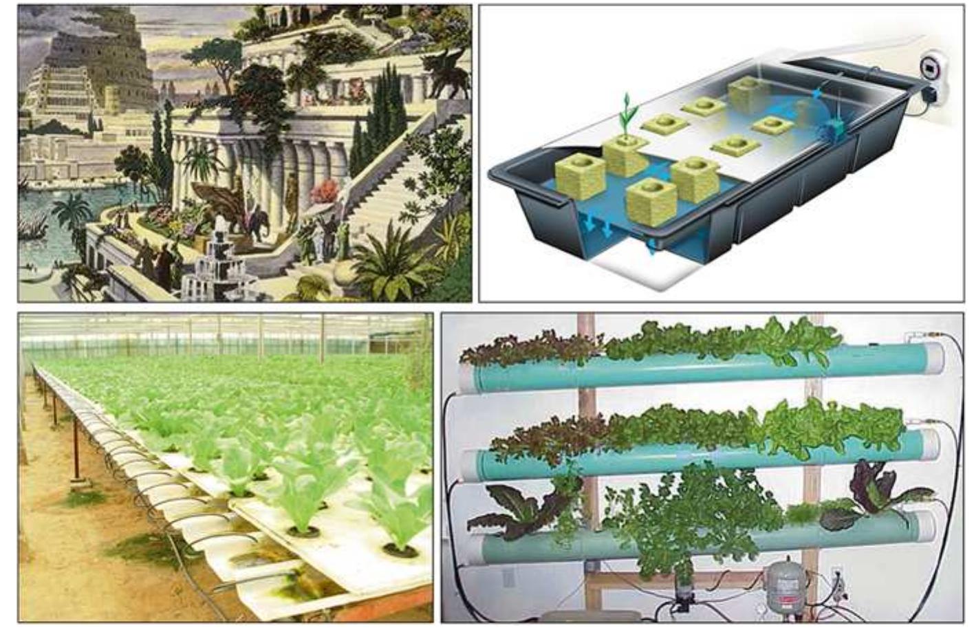 Growers Examples The micro-farm model structure fig. 4 micro-farm, as a model