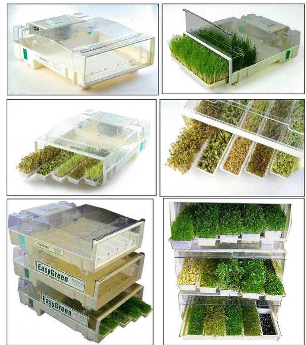 Micro Farm Texture The micro-farm model structure fig. 4 micro-farm, as a model