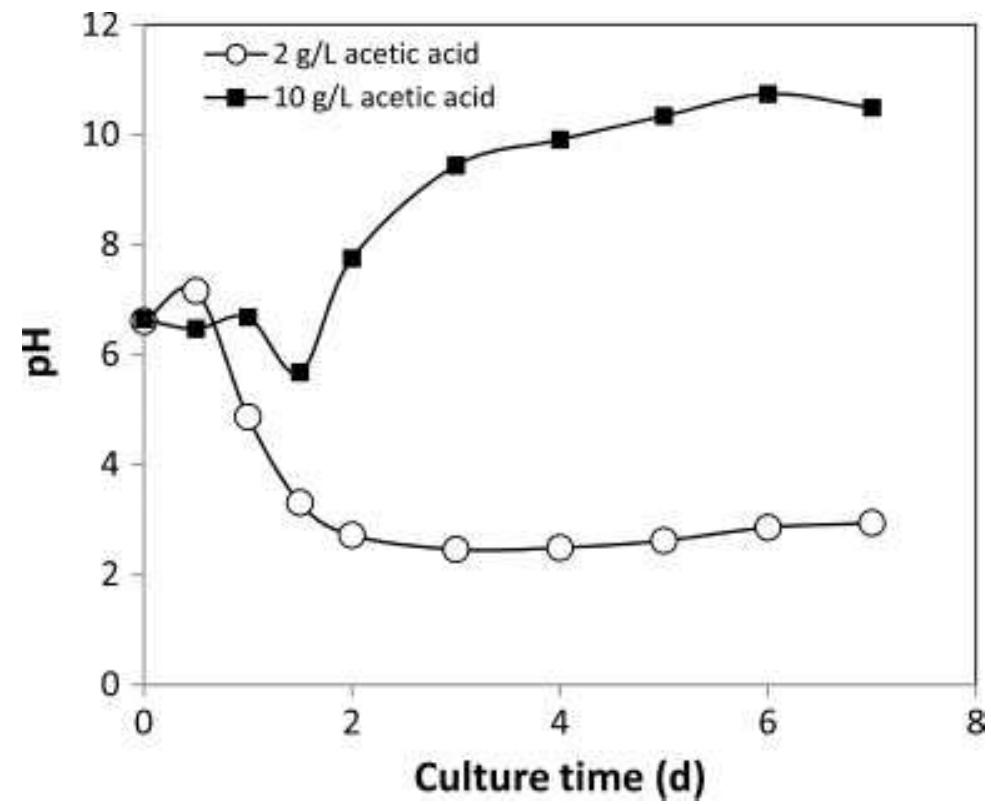 (PDF) Effect of acetic acid on lipid accumulation by glucose-fed ...