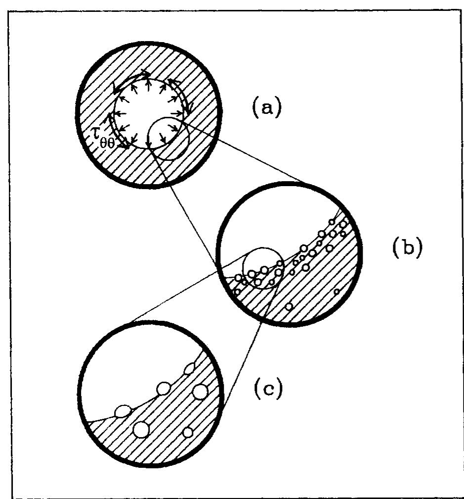 Ure 6. scanning electron micrographs of polyethylene strands