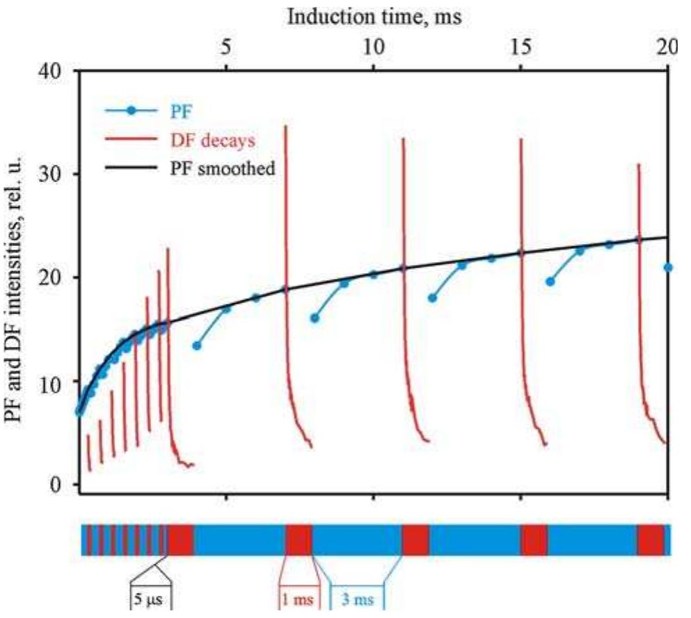 Kingly Transient Figure 2 - from Delayed fluorescence in photosynthesis