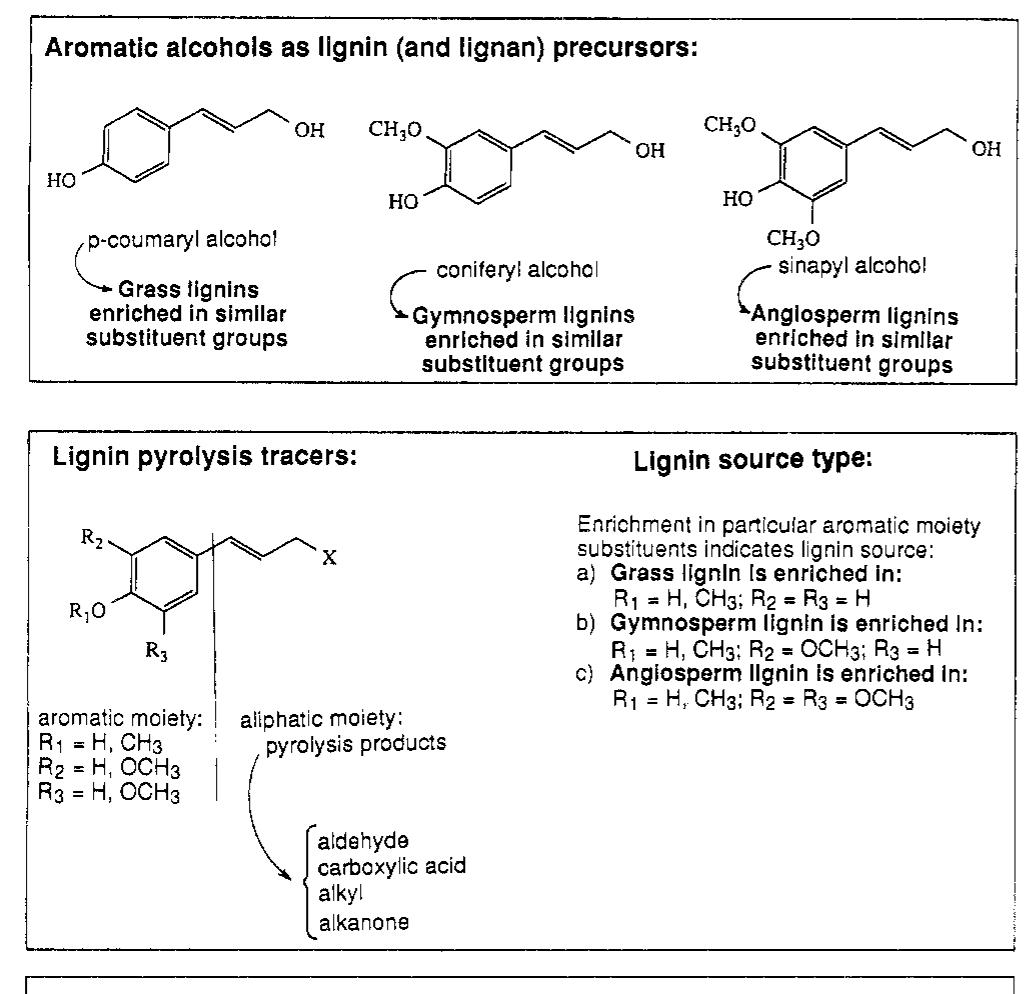 Schematic of the biochemical precursors for lignin and