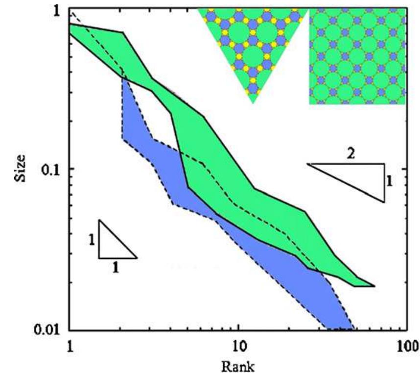 Distribution of tree canopy sizes versus rank in the