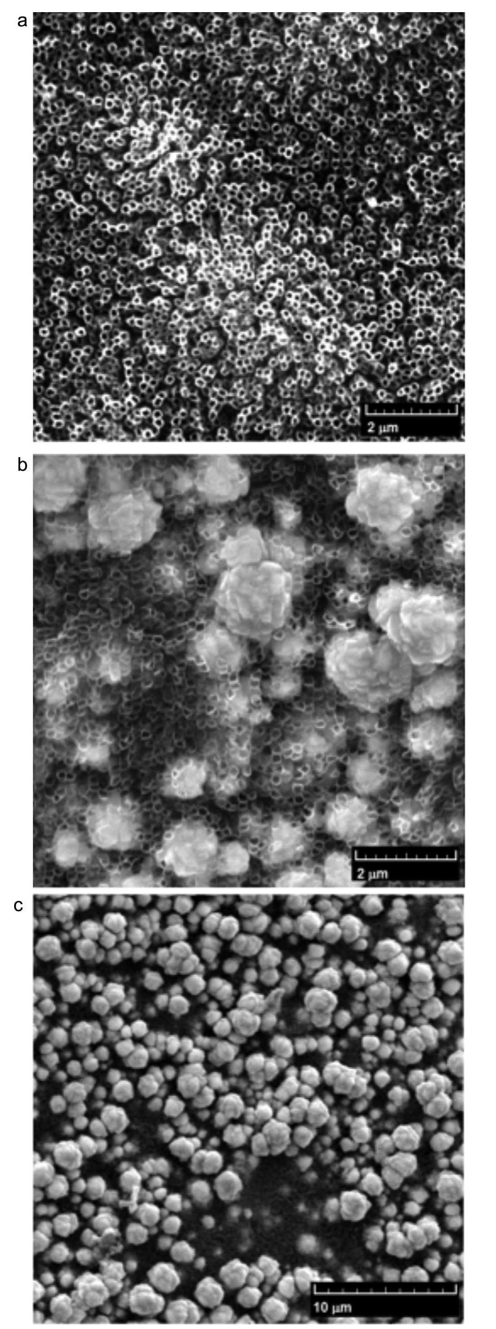 Pbo2 Colour (PDF) Formation and growth of PbO2 inside TiO2 nanotubes for ...
