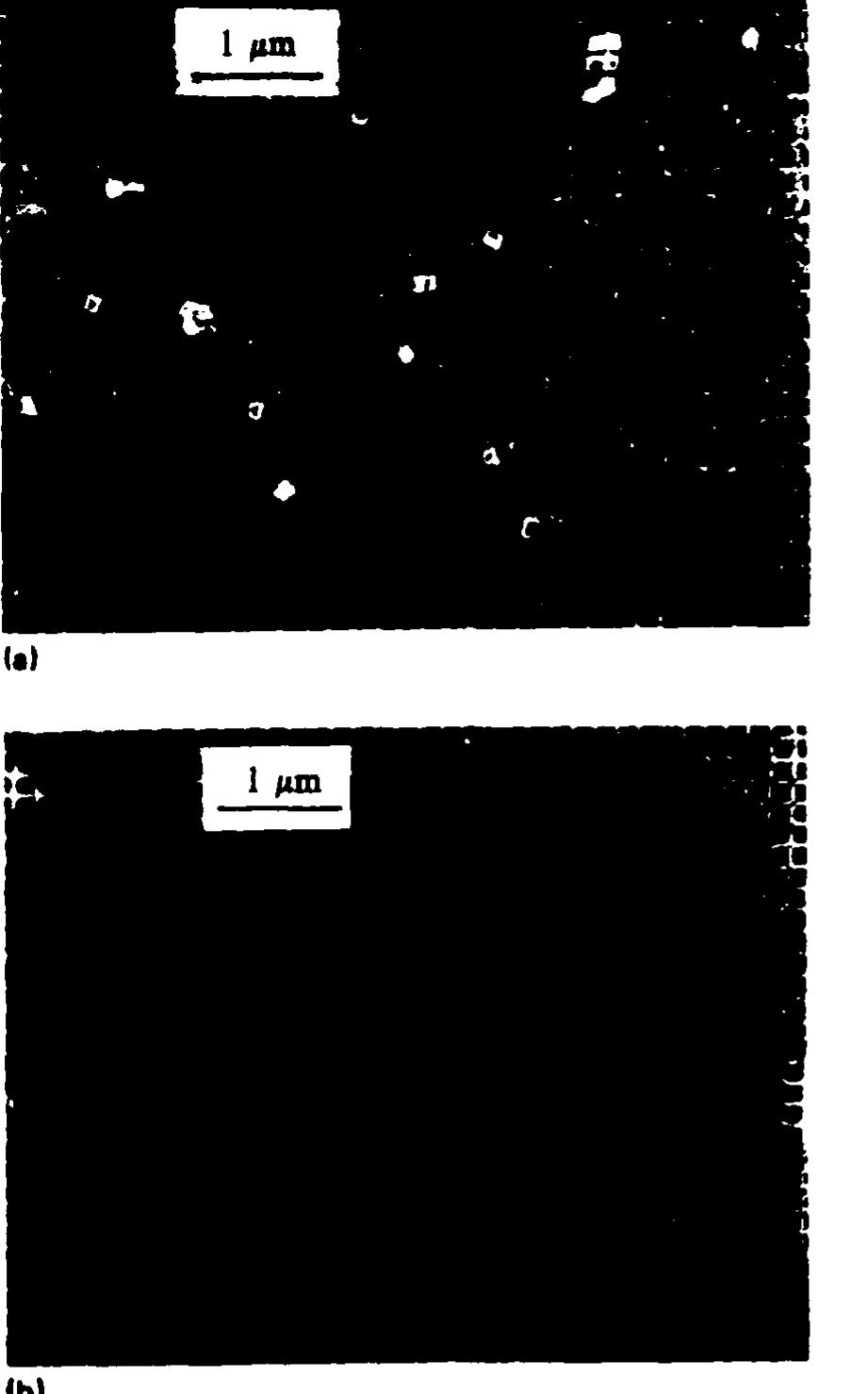 イースVIII -Lacrimosa of DANA- Phlogopite from Earth