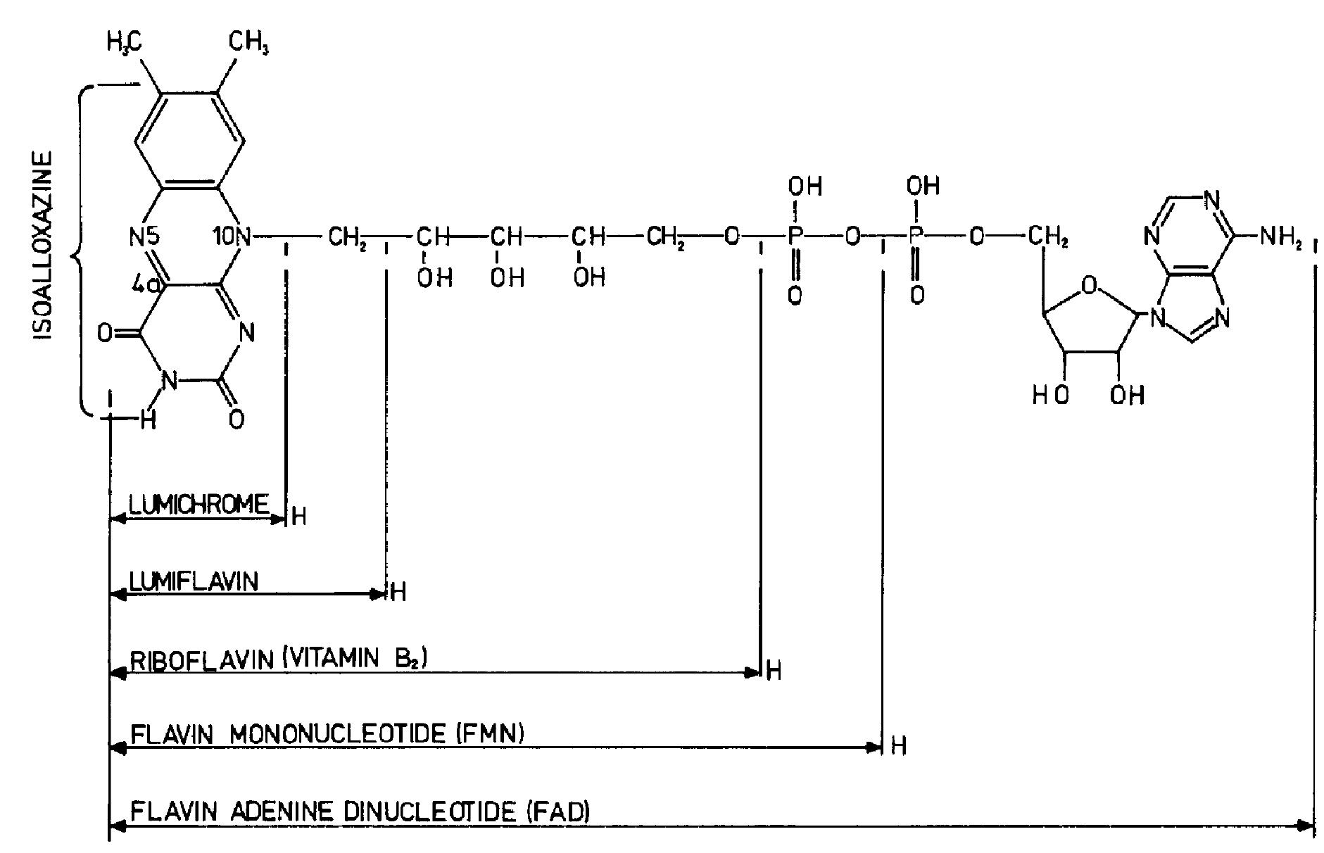 PDF) Glucose oxidase: an ideal enzyme
