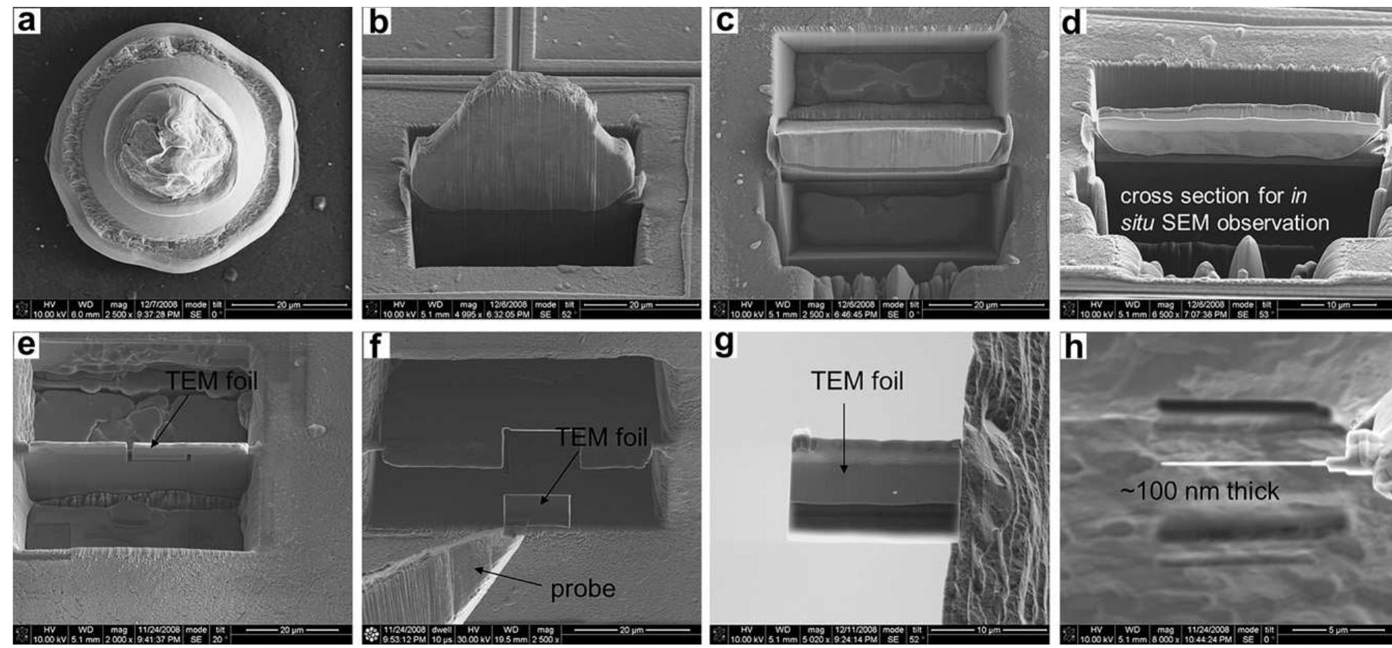Top view and cross-sectional sem of au—al bonds after