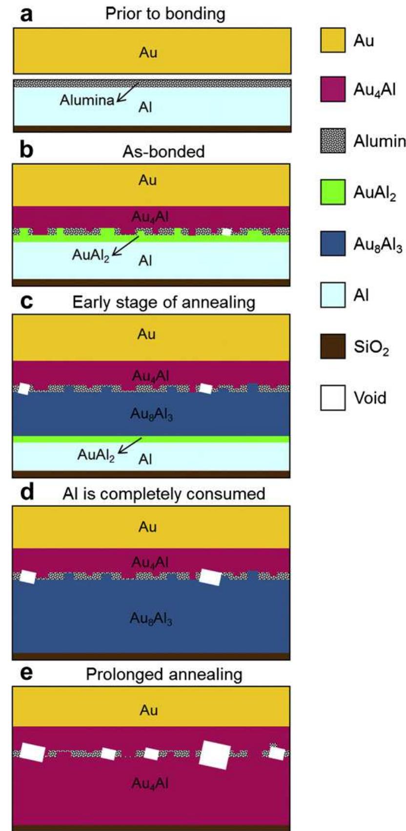 (PDF) Intermetallic phase transformations in Au–Al wire bonds