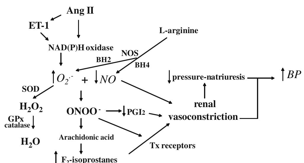 PDF) Intervention with Multiple Micronutrients Including Dietary