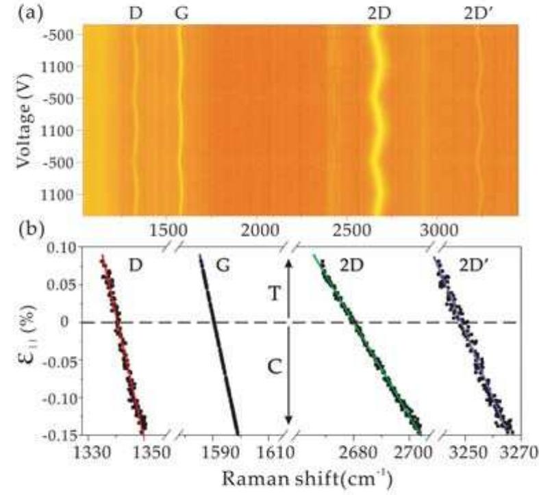(a) color-coded intensity map of the raman peaks of one slg
