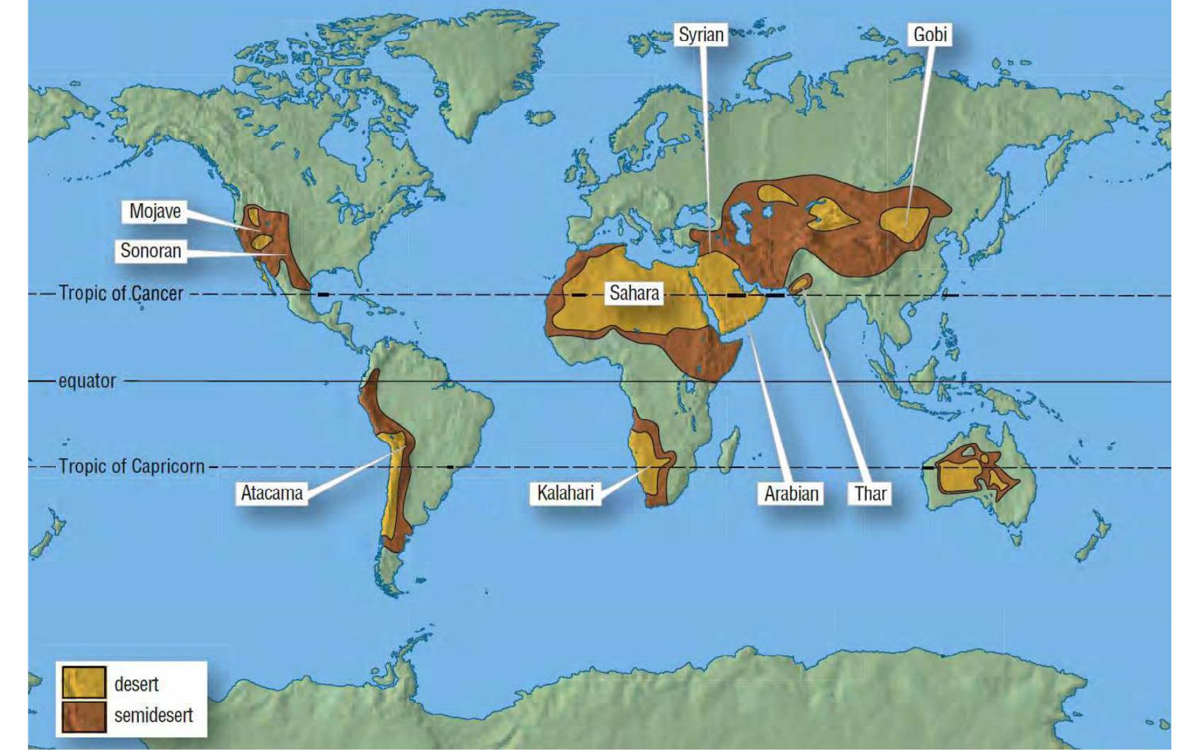 Figure 4 - from Inventory of insects in the oases of Ziban